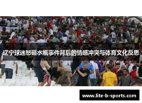 辽宁球迷怒砸水瓶事件背后的情感冲突与体育文化反思