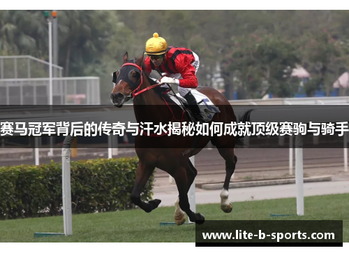 赛马冠军背后的传奇与汗水揭秘如何成就顶级赛驹与骑手